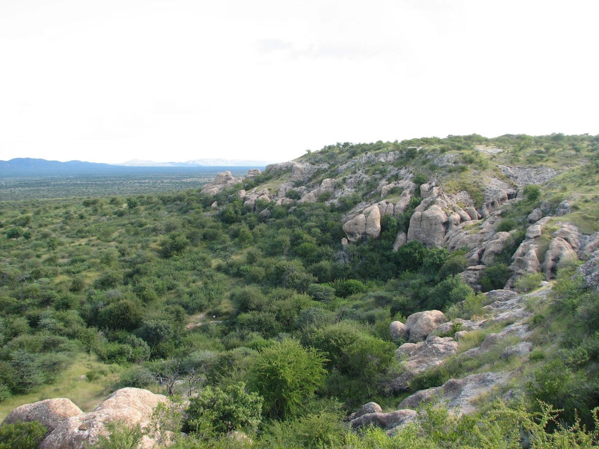 Sasa Safari Camp & Tours Vila Outjo Exterior foto