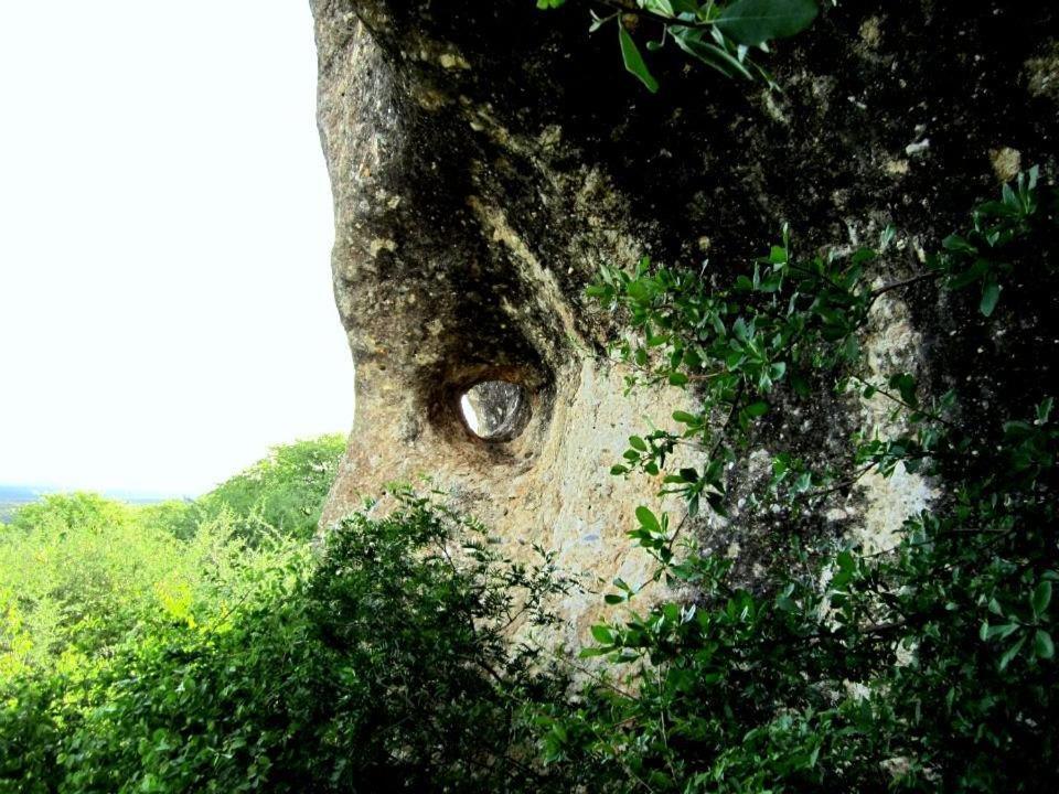 Sasa Safari Camp & Tours Vila Outjo Exterior foto